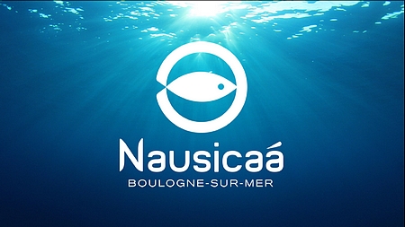 Découverte de Nausicaa